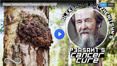 Chaga: Solzhenitsyn's "Peasants Cancer Cure"