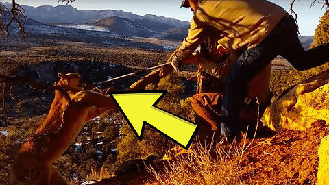 Mountain Lion Tries To Escape Trap – But When This Man Sees It Something Amazing Happens
