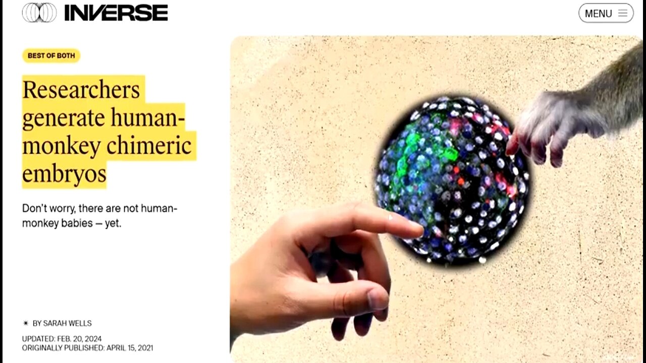 HOW ARE YOU "AWAKE" AND STILL FOLLOWING TRUMP! 👊