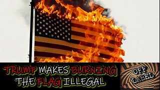 President Trump Signs Executive Order Making BURNING THE FLAG A Criminal Offense