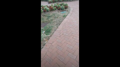 Veterans Park in Kannapolis NC