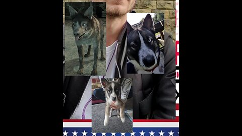 Me and My Neo Dog having Fun in the 3rd Dimension