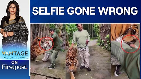 Indian Man Attacked by Tiger While Taking Selfie in Thailand _ Vantage with Palki Sharma _ N18G