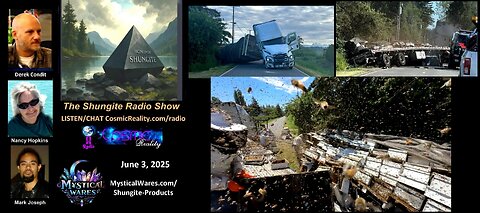SHUNGITE REALITY 6/3/25 - Truck Accident and Bee Rescue