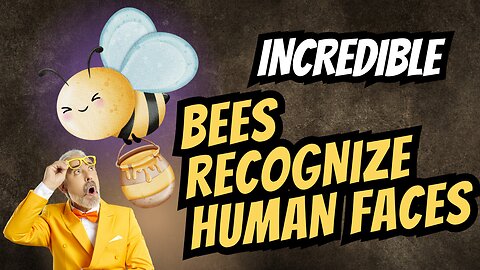 Incredible: Bees Recognize Human Faces