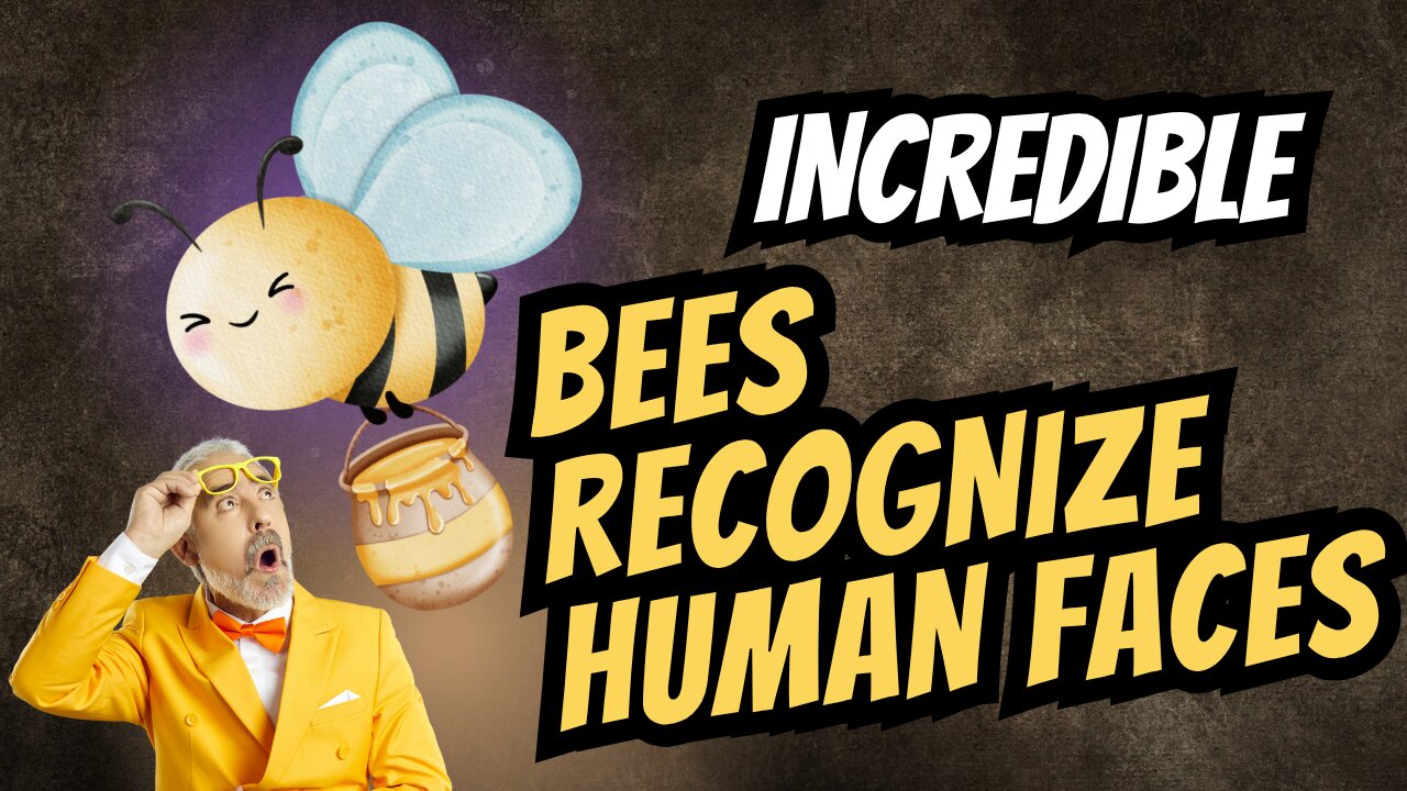 Incredible: Bees Recognize Human Faces