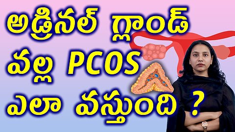 అడ్రినల్ గ్లాండ్ వల్ల PCOS ఎలా వస్తుంది? How Adrenal Gland Cause PCOS? Best Homeopathy Treatment