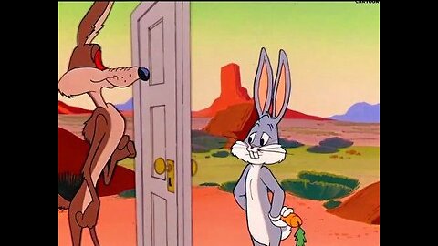 Looney Tunes Classic 🐰 | Wile E. Coyote’s Funniest Fails! 🤣 | Retro Cartoon Compilation (1949–1964)