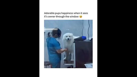 Cute dog gets happy when he sees his owner waiting for him outside ❤🥺