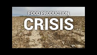 A Farmer’s Warning of the Food Production Crisis
