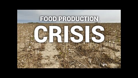 A Farmer’s Warning of the Food Production Crisis