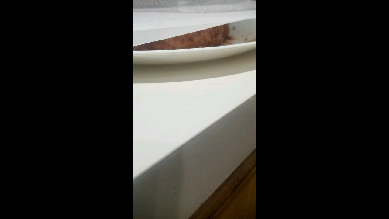 When curing pork, joooooo salt is the best...