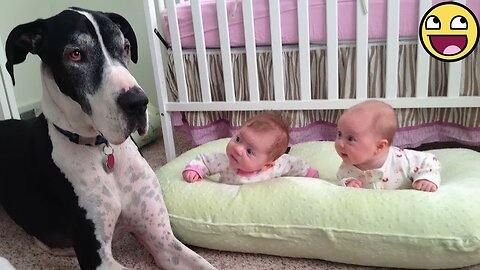 30 Minutes of Cutest Baby and Dog Friendships Ever!