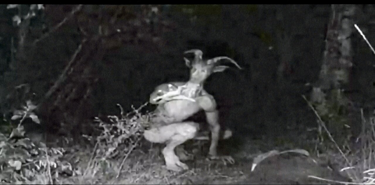 Missing 411 And The FAE Theory