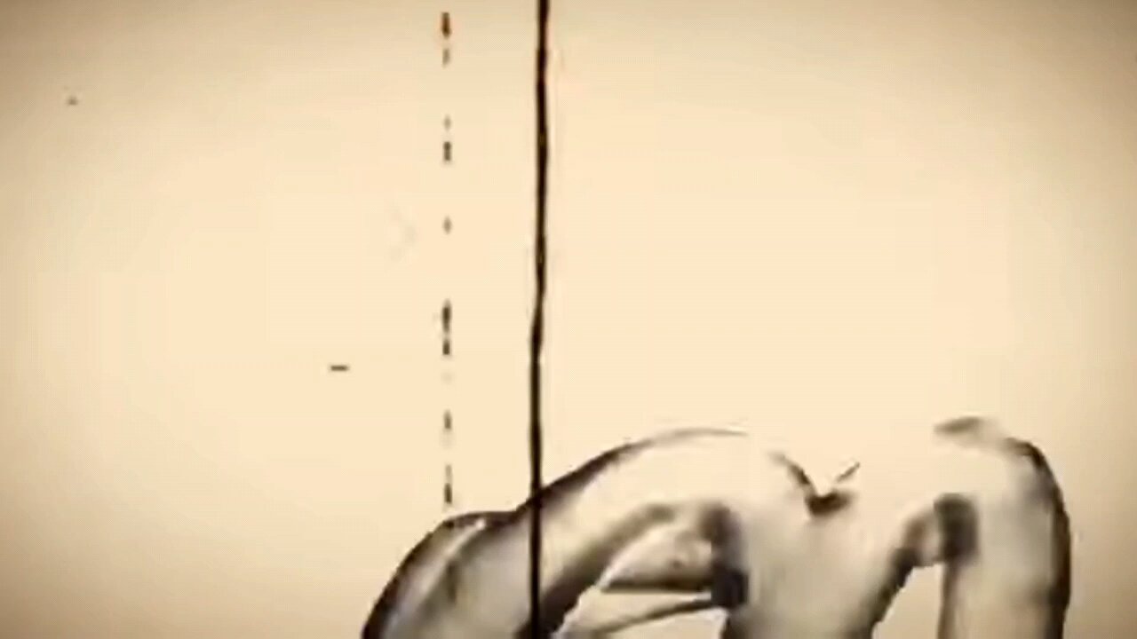 Retarded shenanigans 2