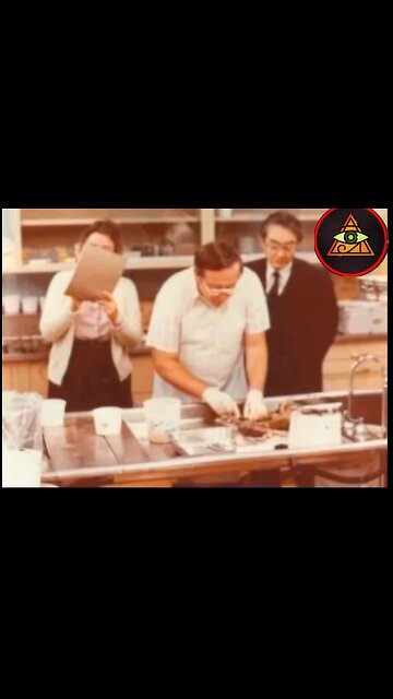 17,000 dead (Greada Treaty) babies trafficked to elitists