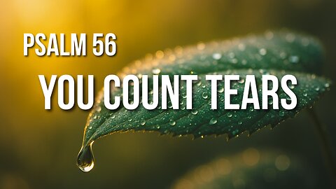 Psalm 56 – Trusting God When You’re Surrounded by Fear and Enemies