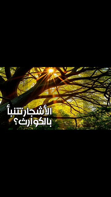 الأشجار تتنبأ بالكوارث؟! رموز سرية تحت الأرض؟ #shorts