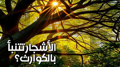 الأشجار تتنبأ بالكوارث؟! رموز سرية تحت الأرض؟ #shorts