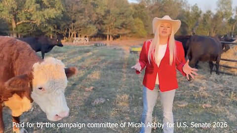 @MicahAshbyUSSenate:"I will primary Tom Cotton in the Republican Party in March 2026"