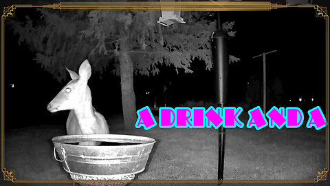 A Drink And.....
