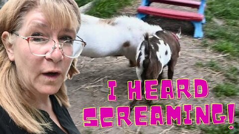 I HEARD Screaming So I Went RUNNING!