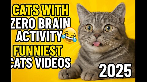 Cats With Zero Brain Activity 😂 Funniest Cats Videos 2025