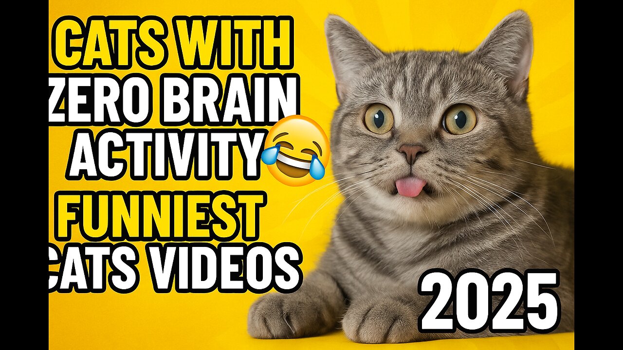 Cats With Zero Brain Activity 😂 Funniest Cats Videos 2025