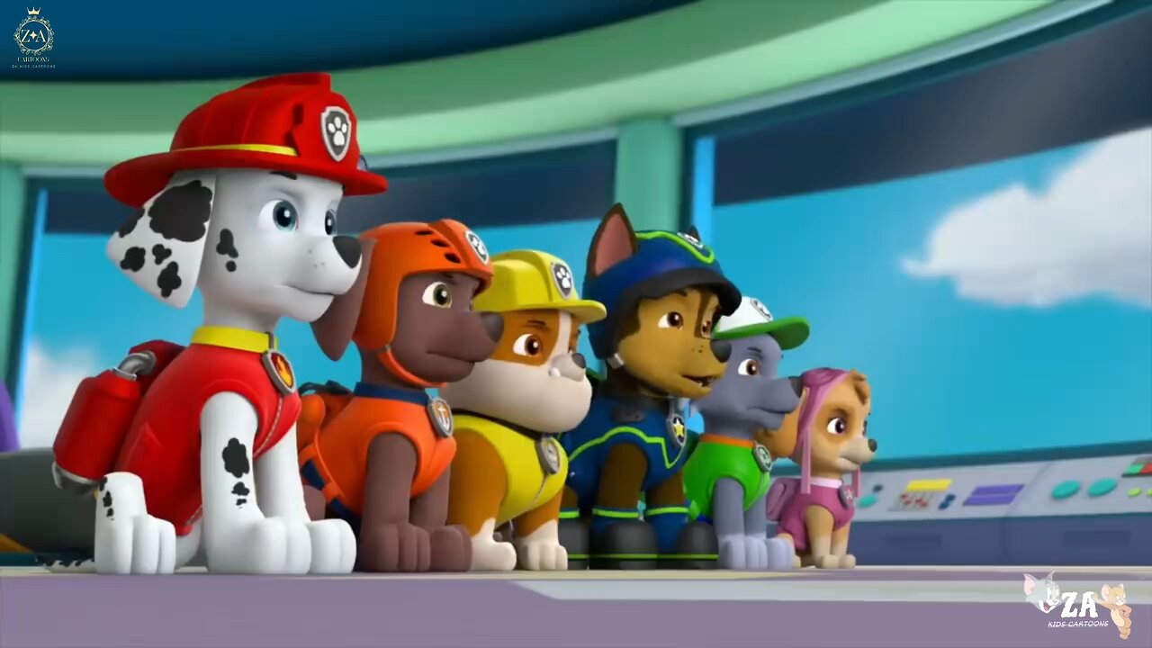 PAW Patrol Cartoons