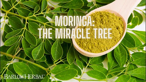 The Health Benefits of Moringa