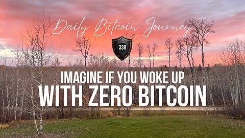 Bitcoin is the only asset you really need