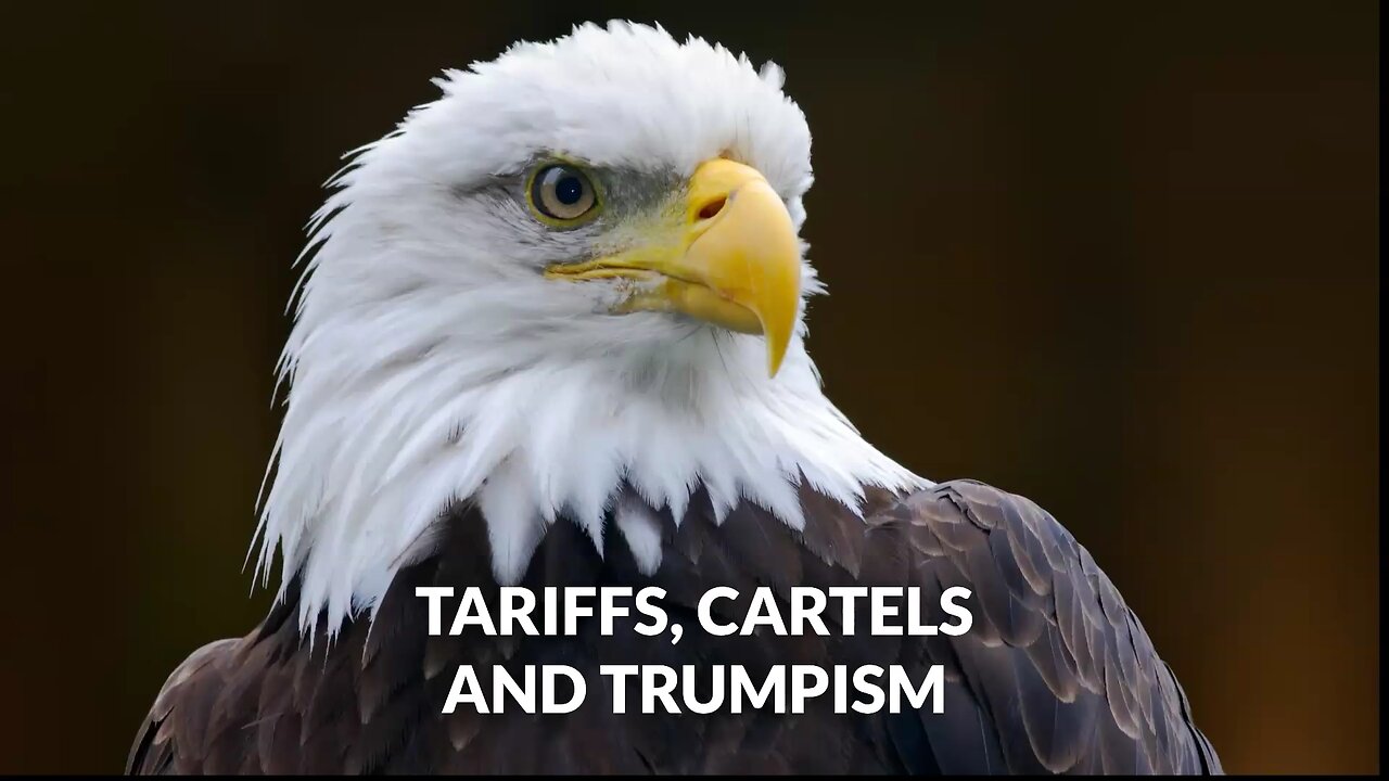 Tariffs Cartels and Trumpism