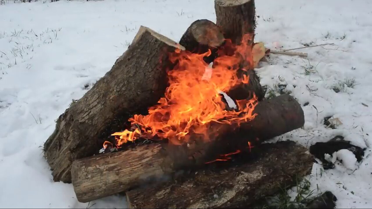 PRIMITIVE SURVIVAL, Hot Rock Cattail Shelter Heating & Winter Cattail Root Cooking