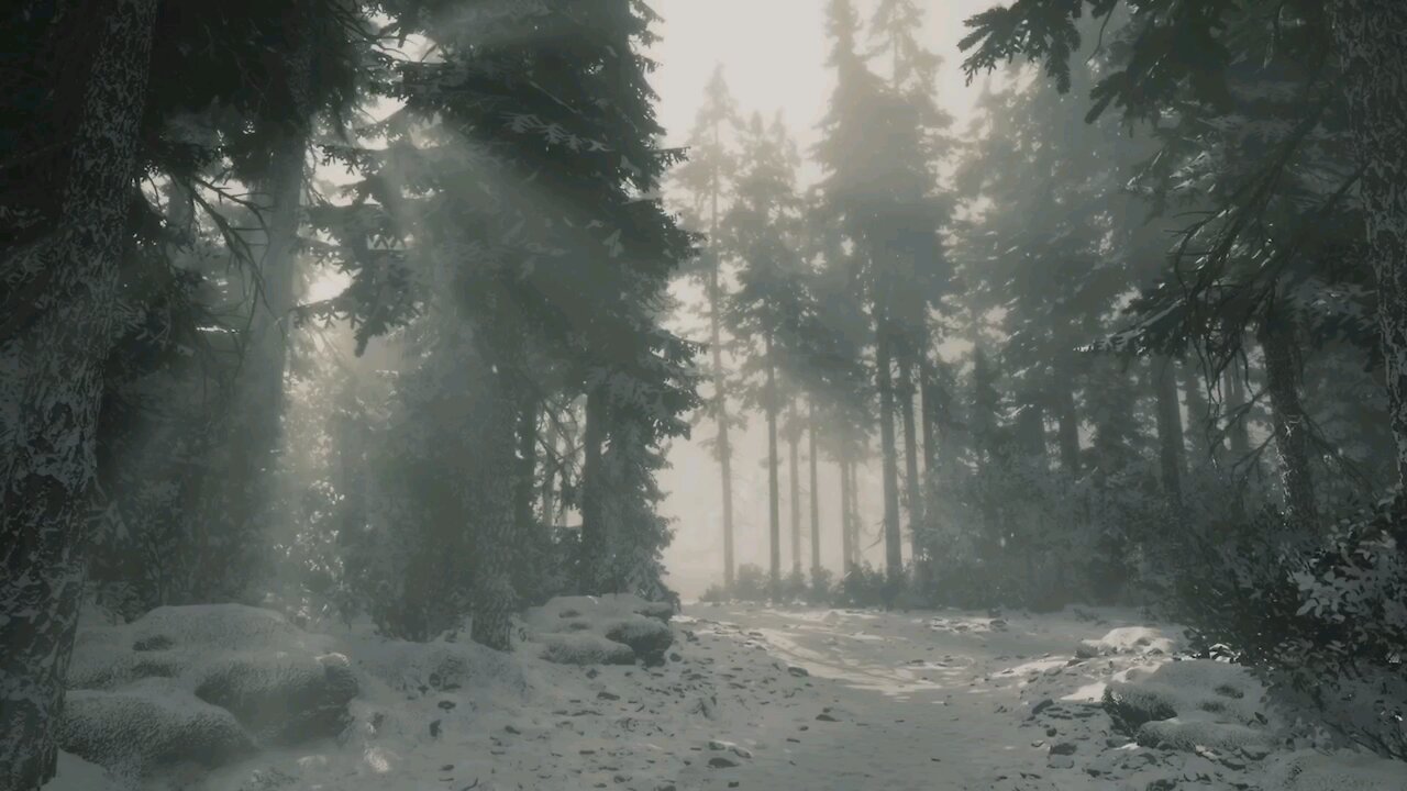 Gamuty-45 (Lushfoil: Photography Simulator- XsX)