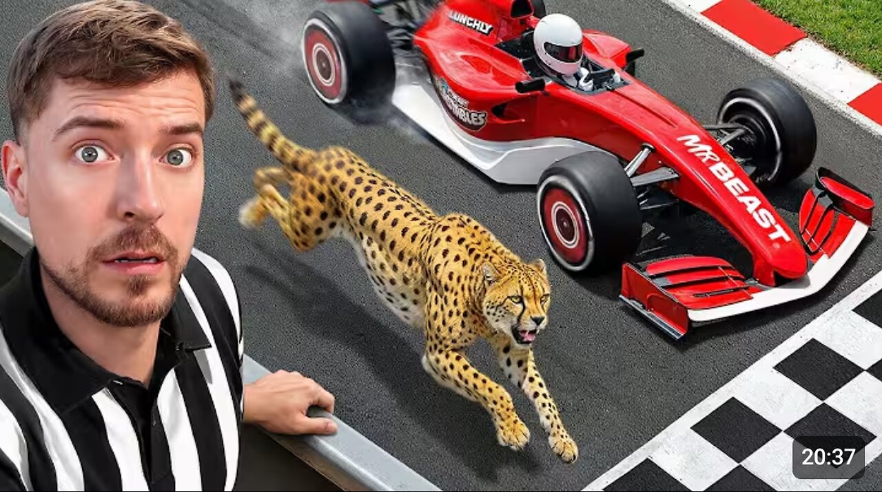 World's Fastest car vs cheetah 🐆 !