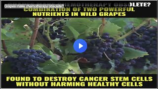 Grapes make chemotherapy obsolete?
