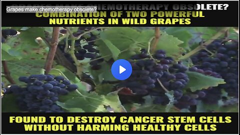Grapes make chemotherapy obsolete?