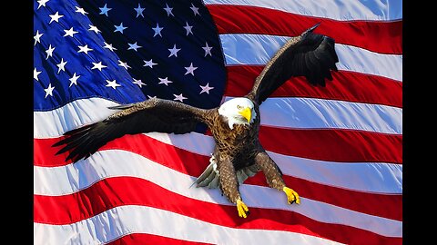 Freedom Of Speech Travels In America