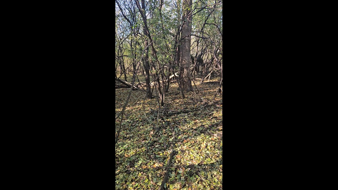 Remembering Tony. Thank You for the Prayers