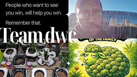 trump starting a canna business 💰