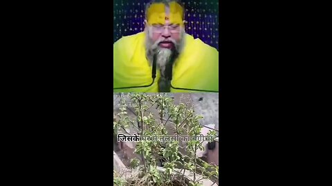 satisfying Video