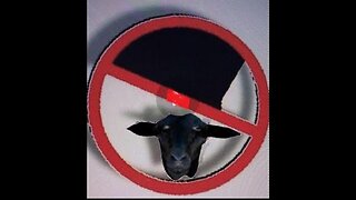 FINALLY GETTING It OUT!! This Is The Introduction to the PROJECT Part 2 The SLAUGHTER Of El's SHEEP