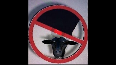 FINALLY GETTING It OUT!! This Is The Introduction to the PROJECT Part 2 The SLAUGHTER Of El's SHEEP