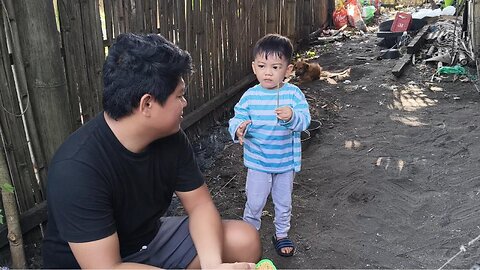 Grey Plays With A Stick