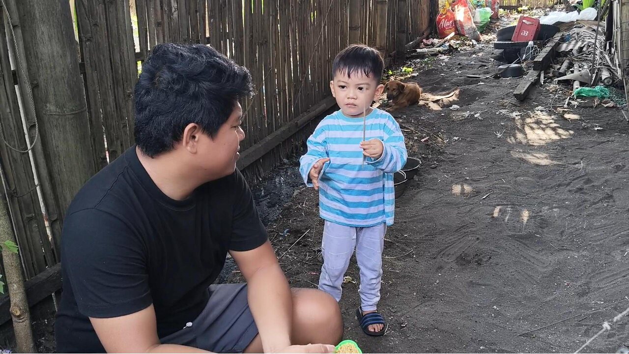 Grey Plays With A Stick