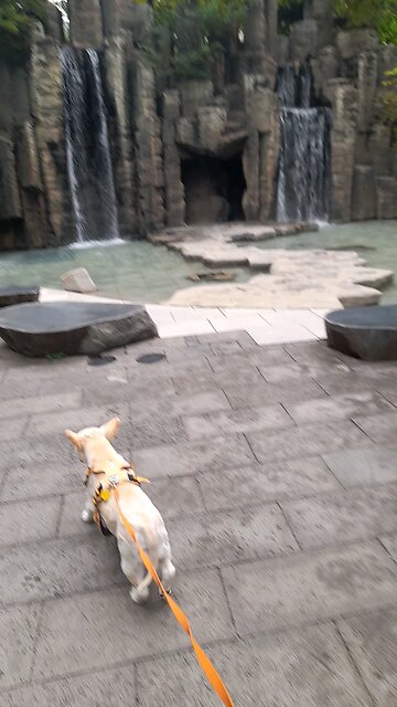 20250909. God Is Love.