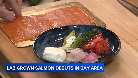 San Francisco company has unveiled salmon grown in a lab