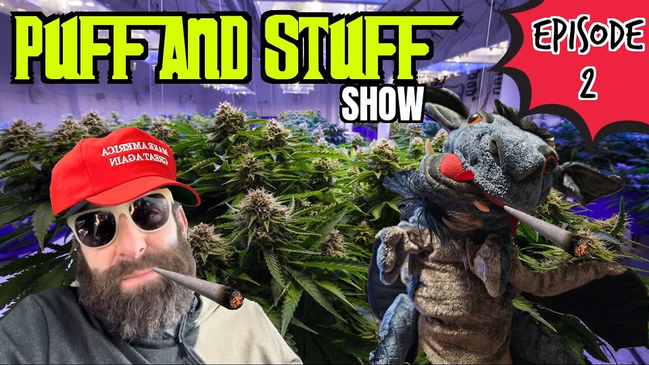 Puff and Stuff Show | Season 3 | Episode 2 | The Background Check