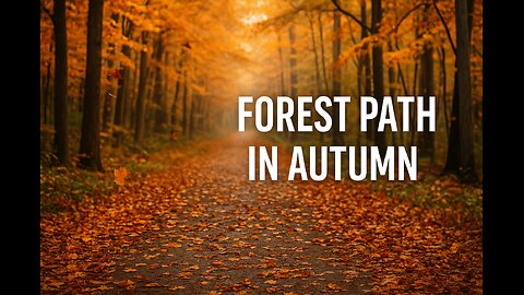 "Forest path in autumn| Relaxing nature walk with falling Leaves"