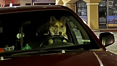 A fun road trip to San Francisco